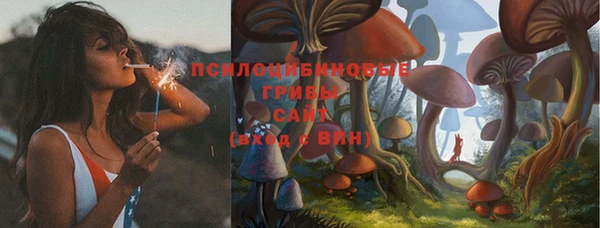 гашик Зерноград