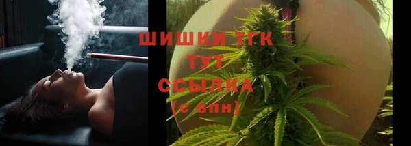 гашик Зерноград
