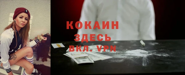 гашик Зерноград