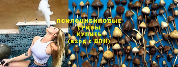 бошки Зеленодольск