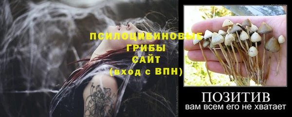 бошки Зеленодольск