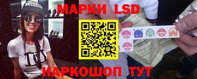 прущие грибы Краснодар