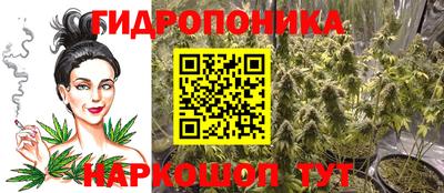 прущие грибы Краснодар