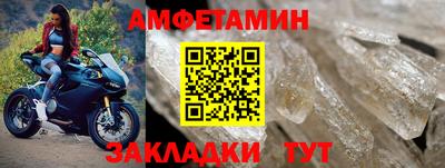 прущие грибы Краснодар
