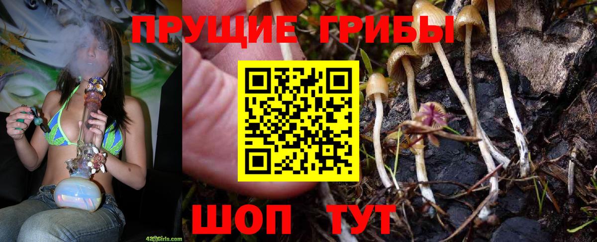 Галлюциногенные грибы GOLDEN TEACHER Сланцы